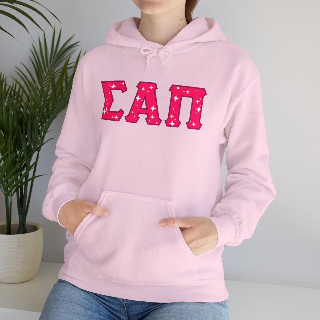 SIGMA ALPHA PI Heavy Hooded Sweatshirt - Pink on Pink