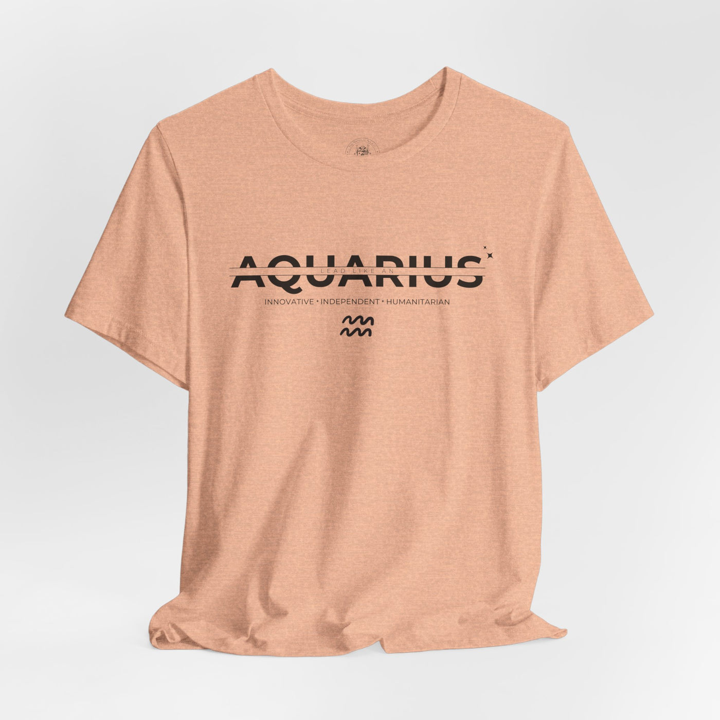 LEAD LIKE an Aquarius #3 - Black on Heather Colors