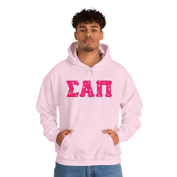 SIGMA ALPHA PI Heavy Hooded Sweatshirt - Pink on Pink