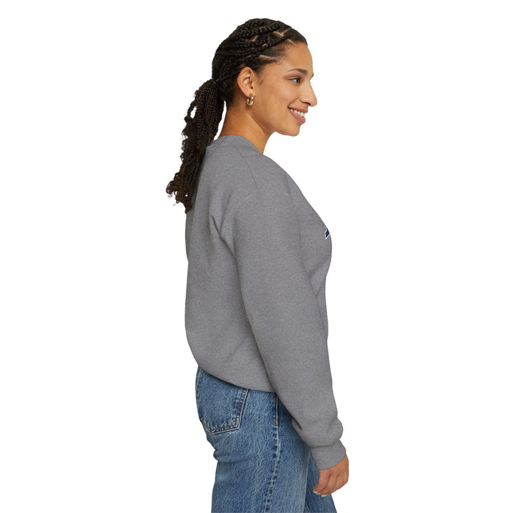 NSLS VINTAGE SEAL CREWNECK