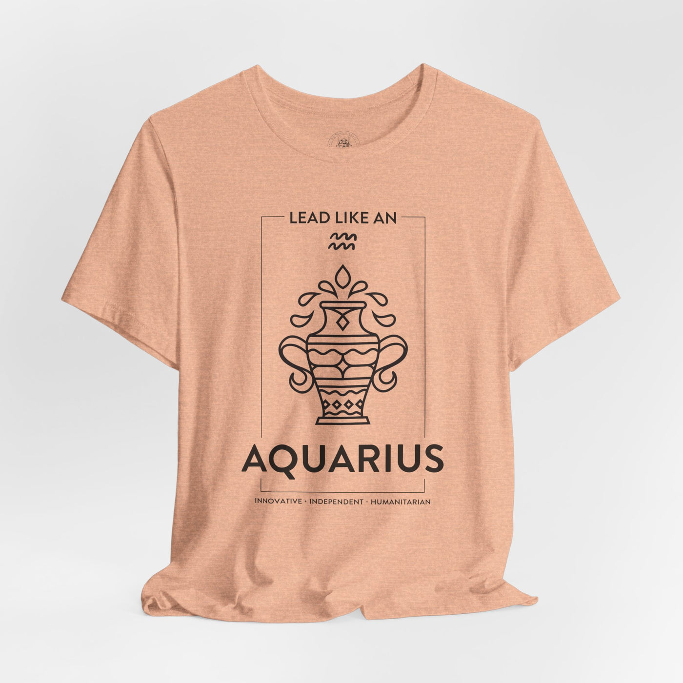 LEAD LIKE an Aquarius #1 - Black on Heather Colors