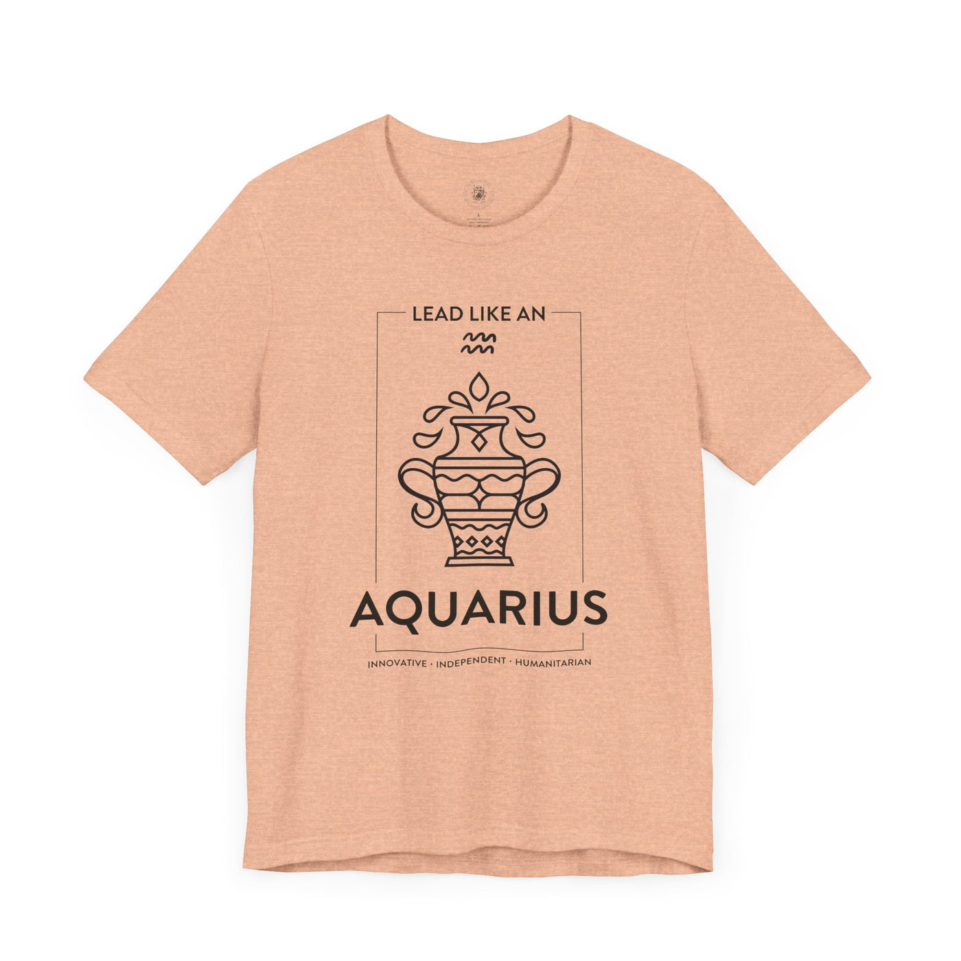 LEAD LIKE an Aquarius #1 - Black on Heather Colors