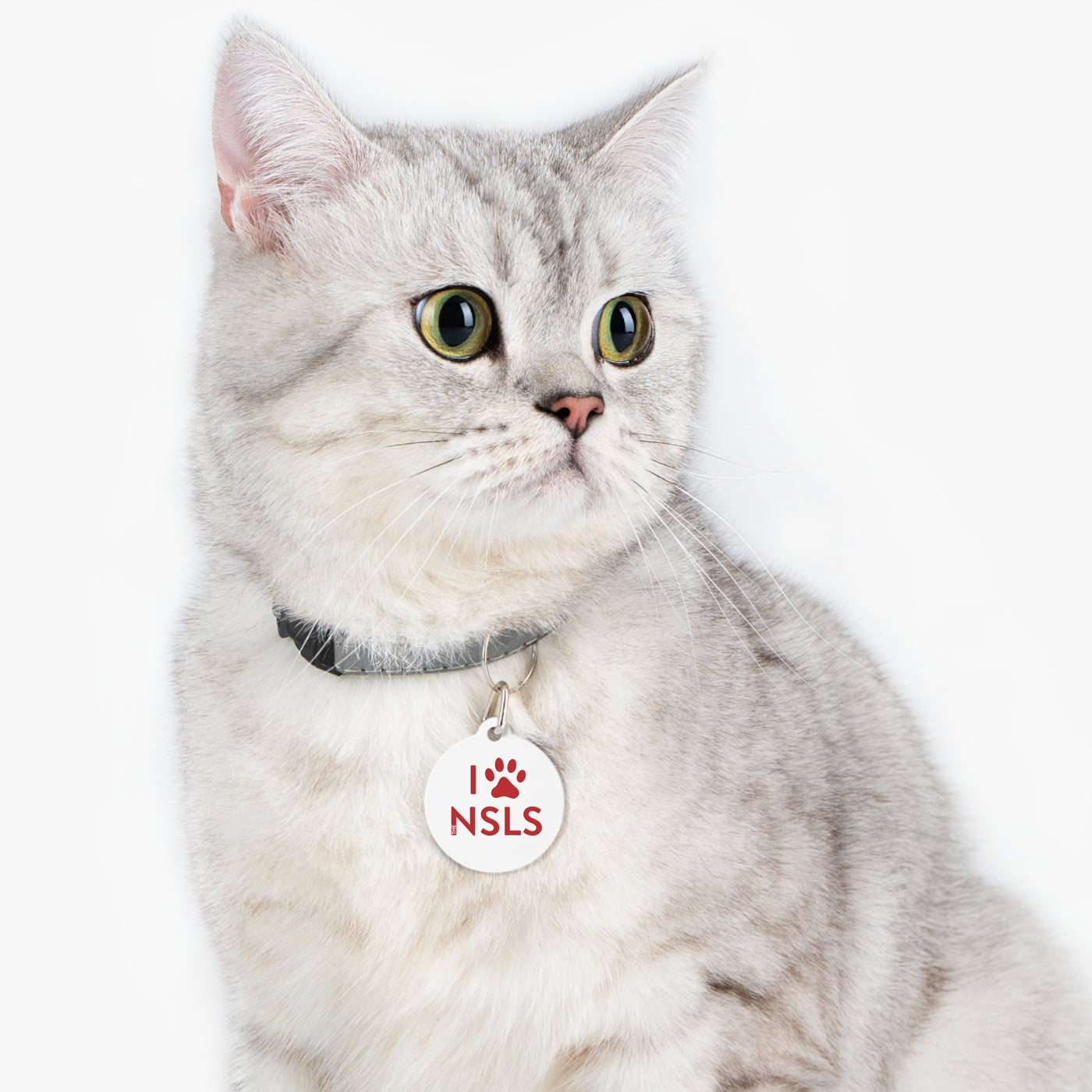 NSLS Pet Tag - Red