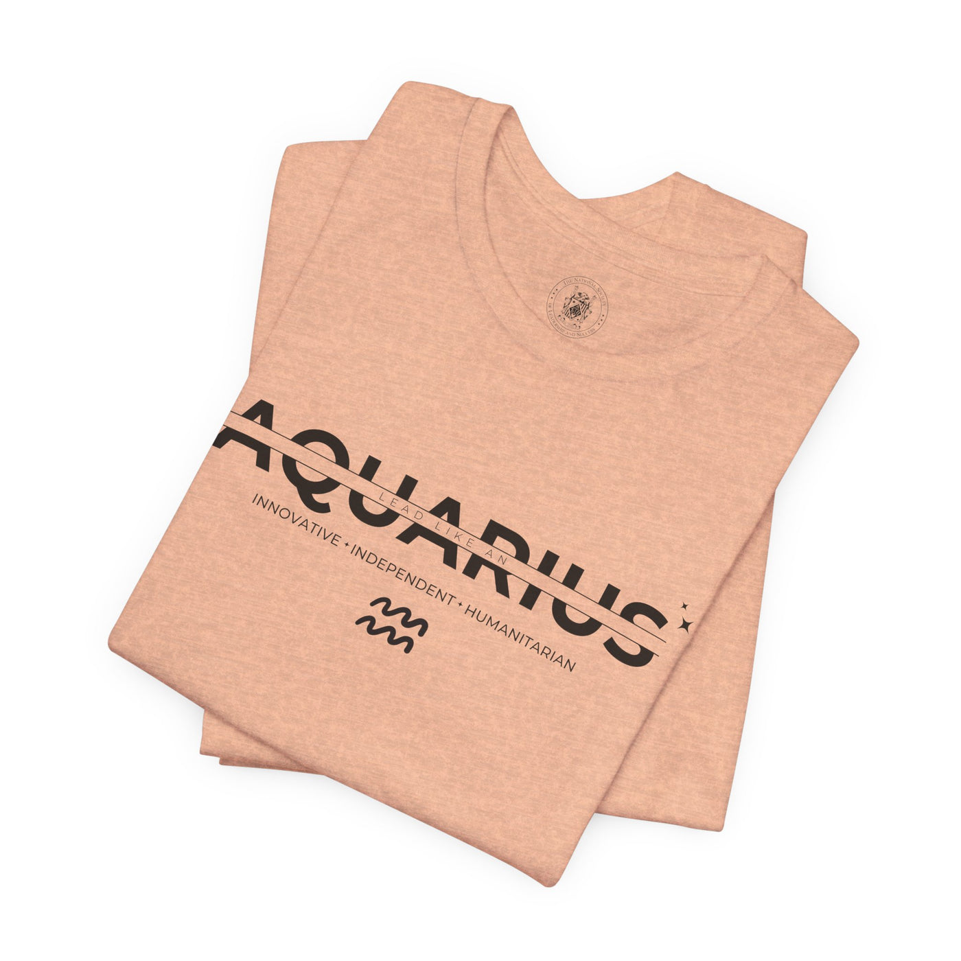 LEAD LIKE an Aquarius #3 - Black on Heather Colors