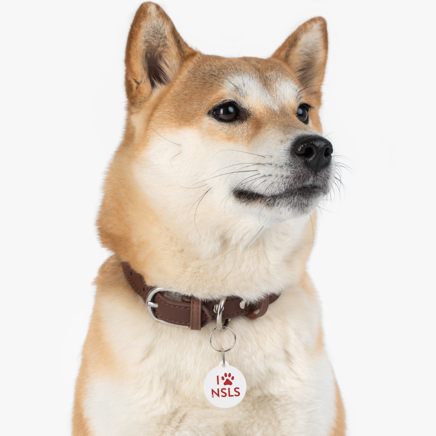 NSLS Pet Tag - Red