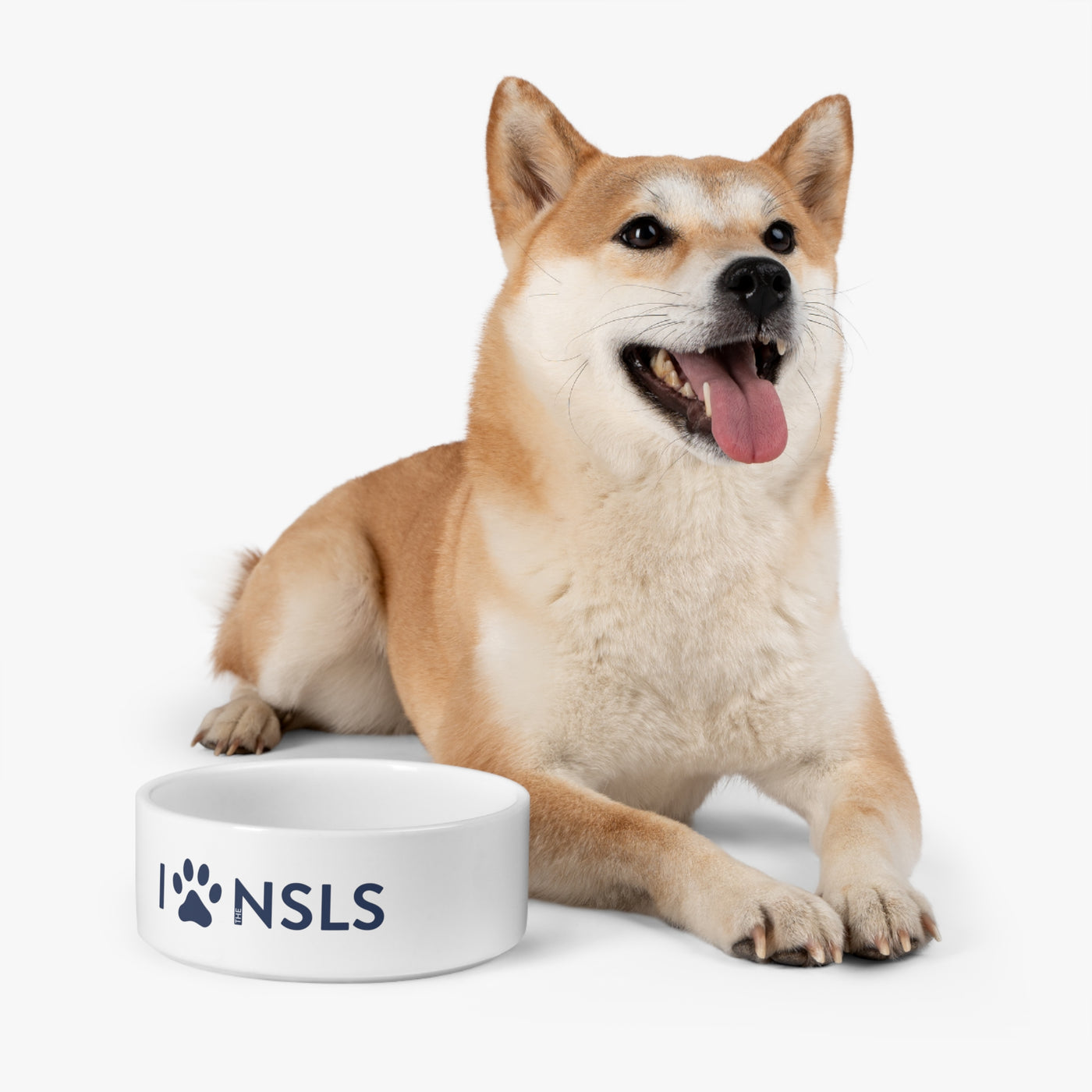 NSLS Pet Bowl - White with Blue