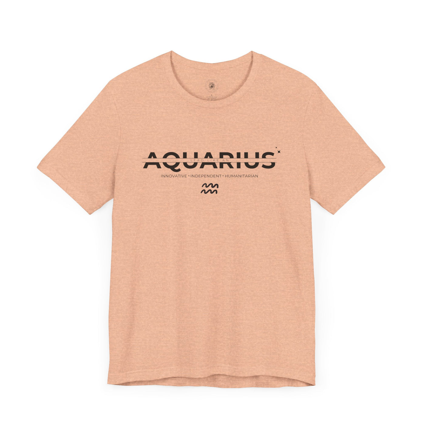 LEAD LIKE an Aquarius #3 - Black on Heather Colors