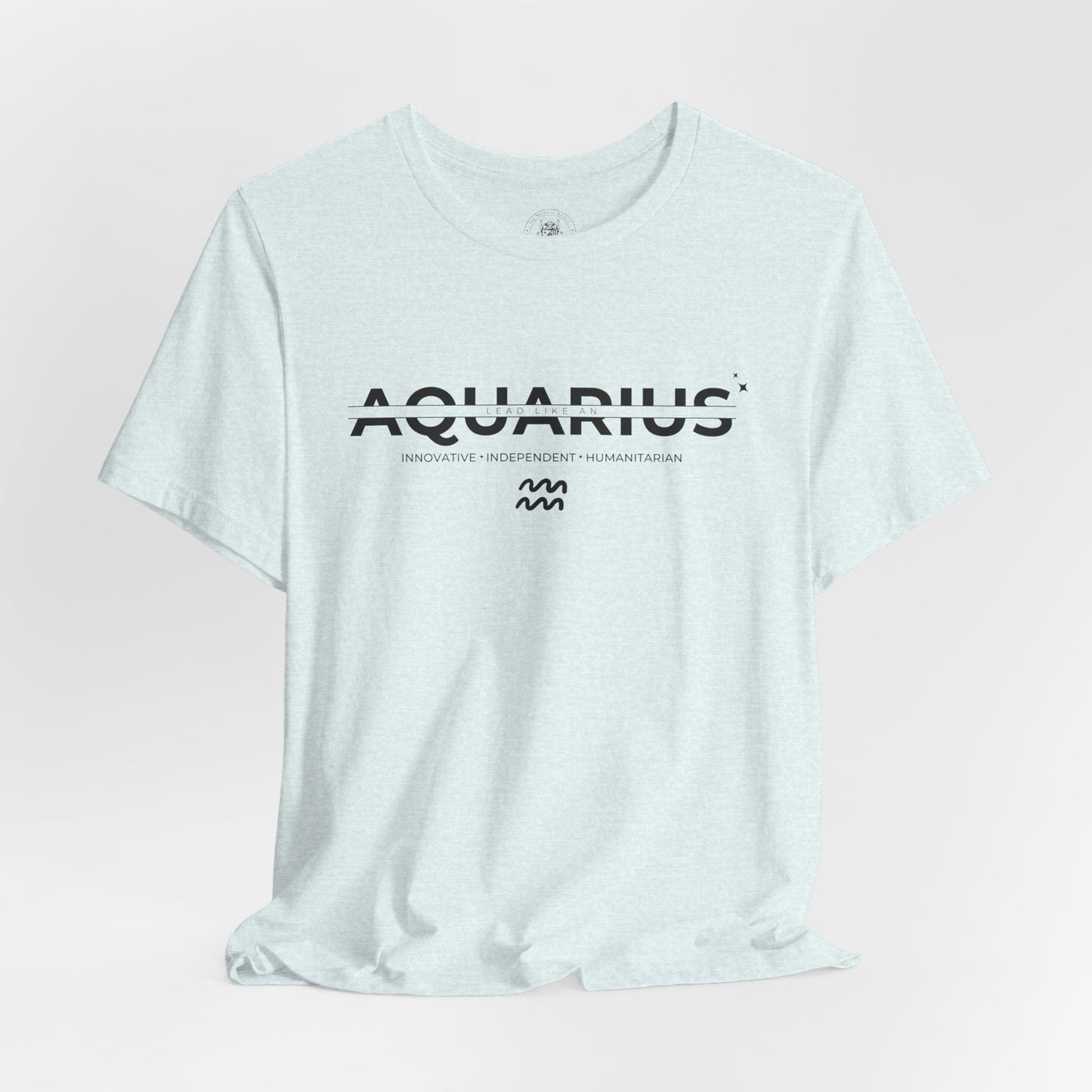 LEAD LIKE an Aquarius #3 - Black on Heather Colors