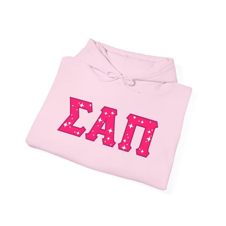 SIGMA ALPHA PI Heavy Hooded Sweatshirt - Pink on Pink