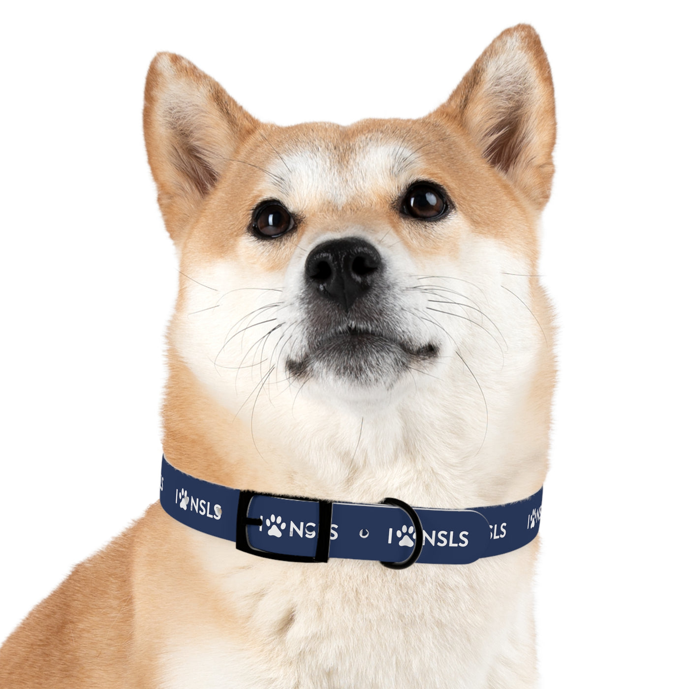 NSLS Dog Collar - Blue