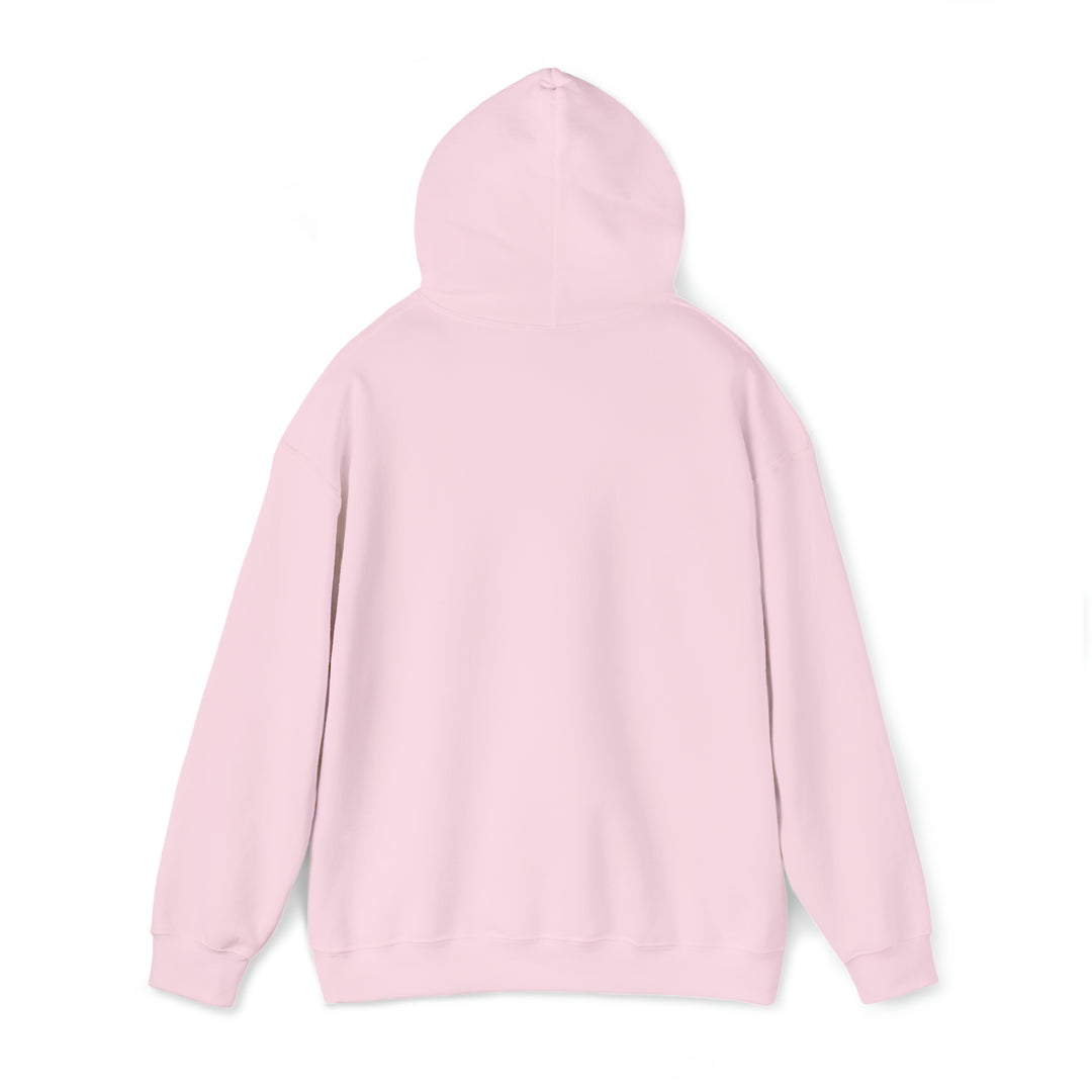 NSLS Heavy Hooded Sweatshirt - Pink