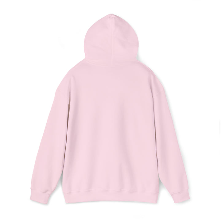 NSLS Heavy Hooded Sweatshirt - Pink