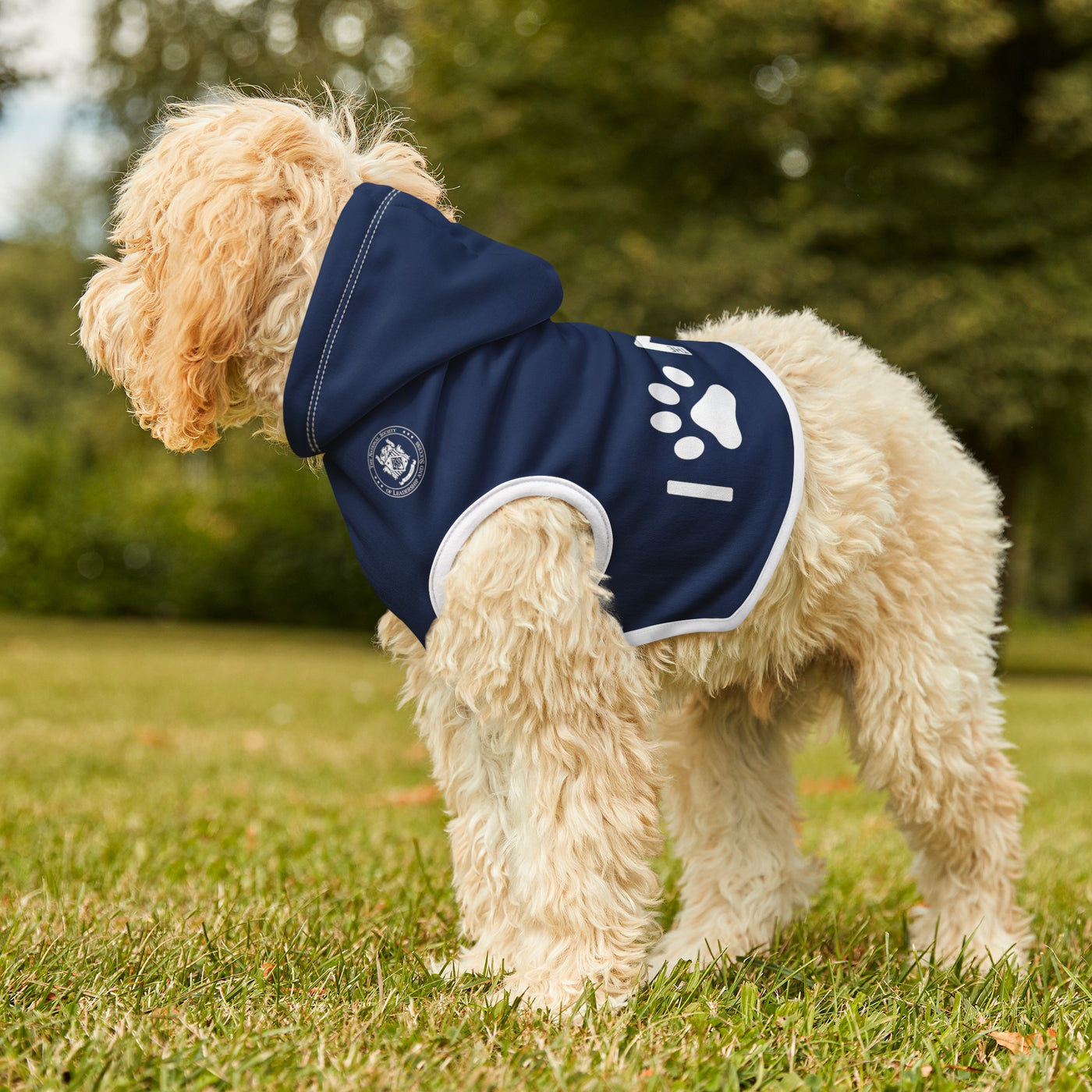 NSLS Pet Hoodie - Blue