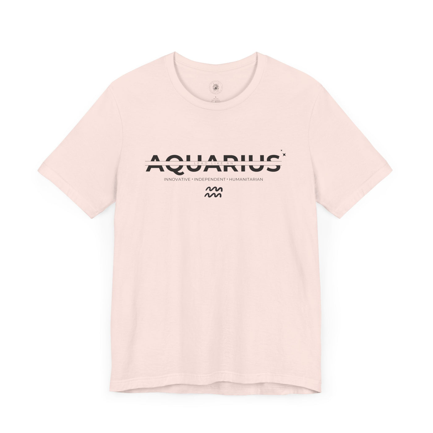 LEAD LIKE an Aquarius #3 - Black on Heather Colors