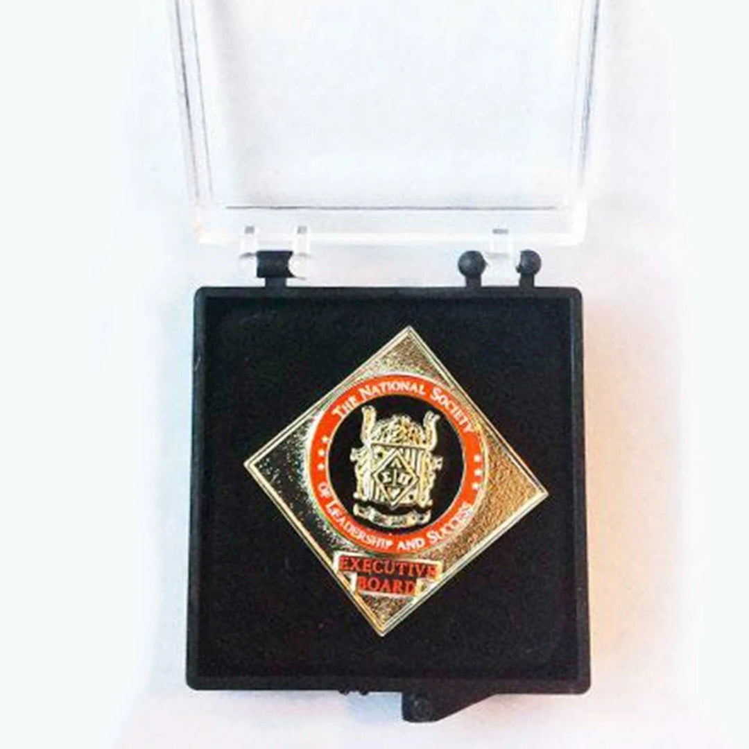 NSLS E-Board Lapel Pin